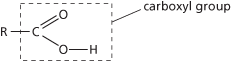 carboxylic acids