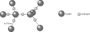 hydrogen bond