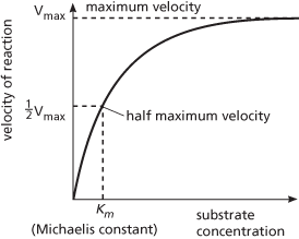 Michaelis-Menten curve