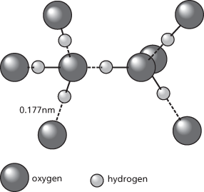hydrogen bond