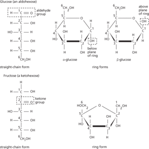monosaccharide