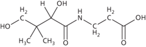 pantothenic acid