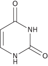 uracil
