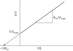 Lineweaver–Burk plot