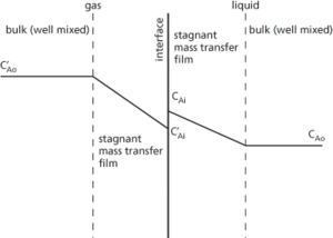 Whitman two-film theory