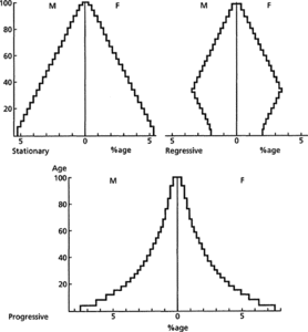 age–sex pyramid