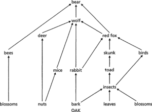 food web