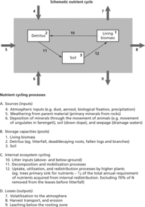 nutrient cycle