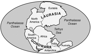 Pangaea