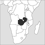 Zambia